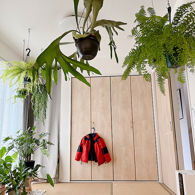 Nao56roomさんの実例写真