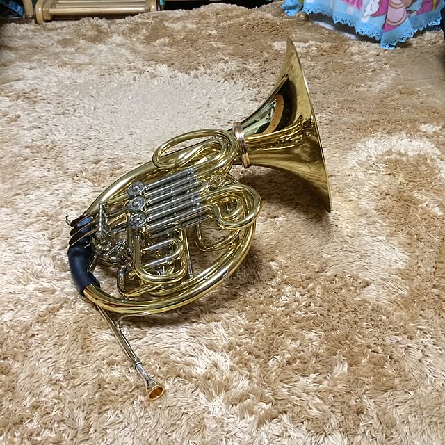 horurunさんの実例写真