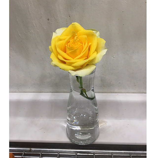 pisaさんの実例写真
