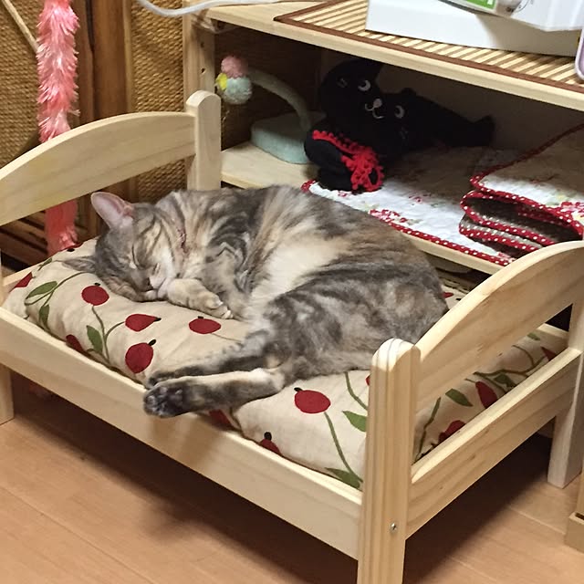 mayakaさんの実例写真
