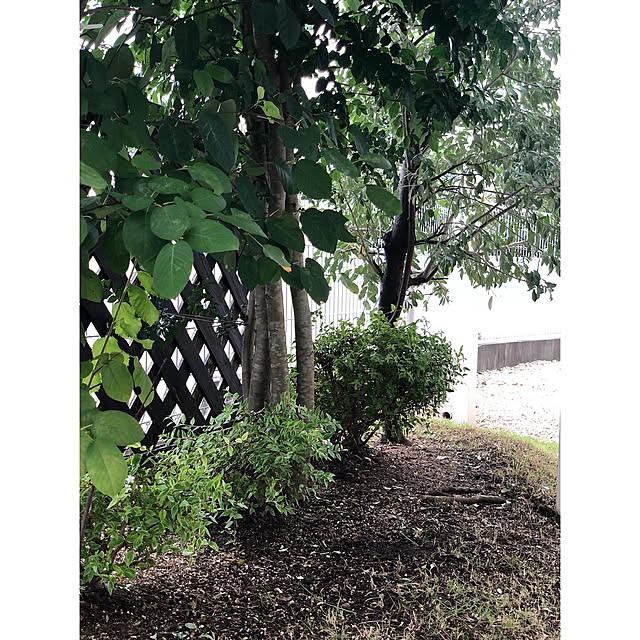 nono.0129さんの実例写真