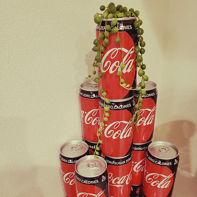 tingさんの実例写真