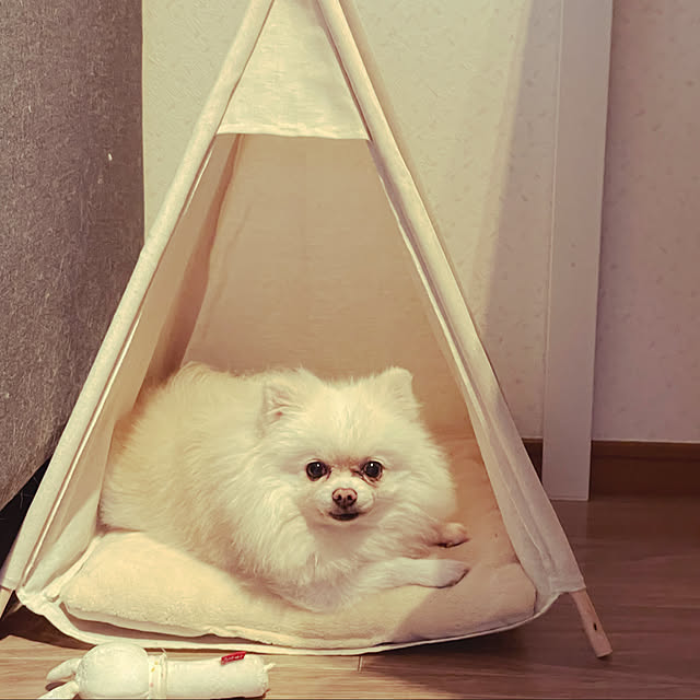 EllyMyLoveさんの実例写真