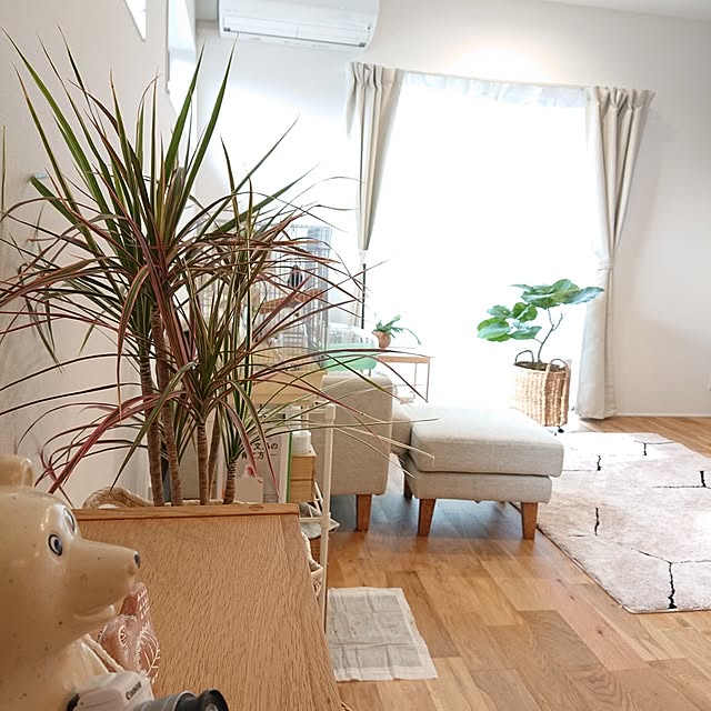 otokiさんの部屋