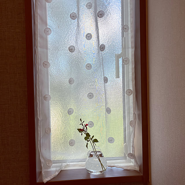 seiさんの部屋