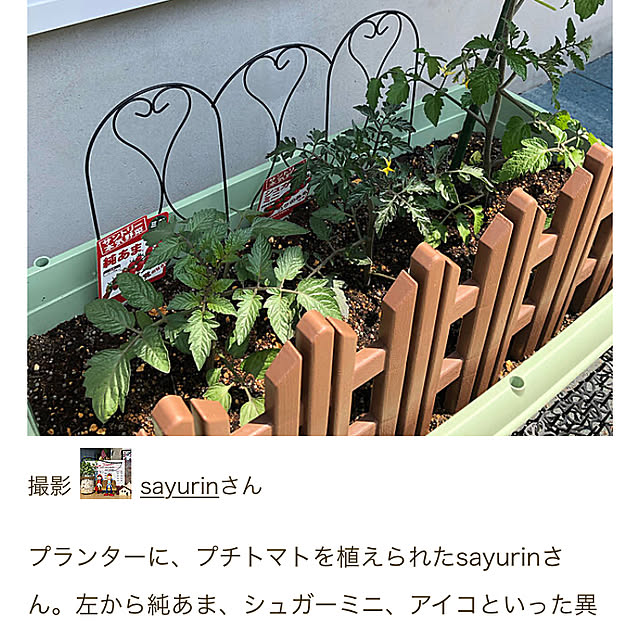 sayurinさんの実例写真