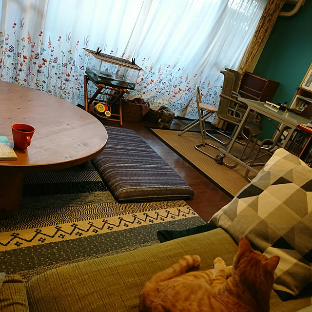 okyosan101さんの実例写真
