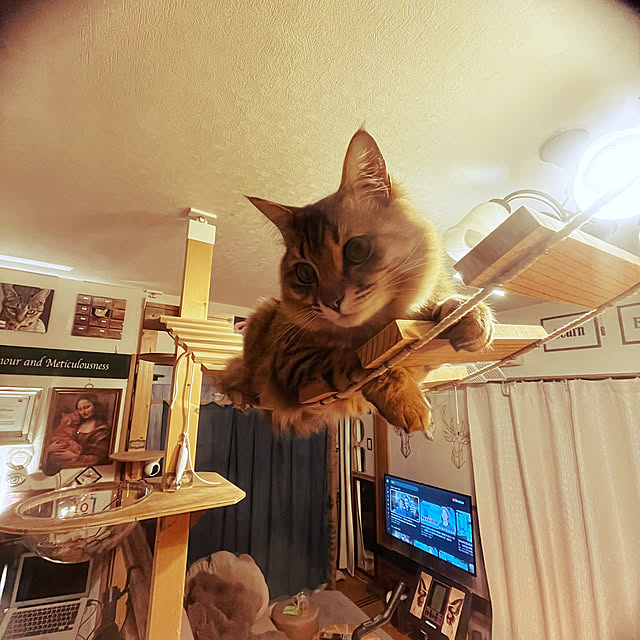 Mさんの実例写真