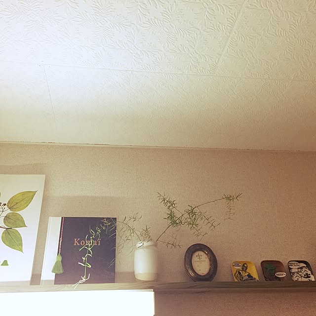 Satokoさんの実例写真