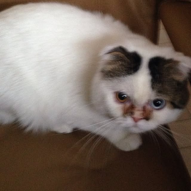 mikan0607さんの実例写真