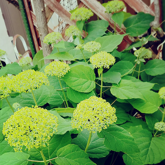 choku3さんの実例写真