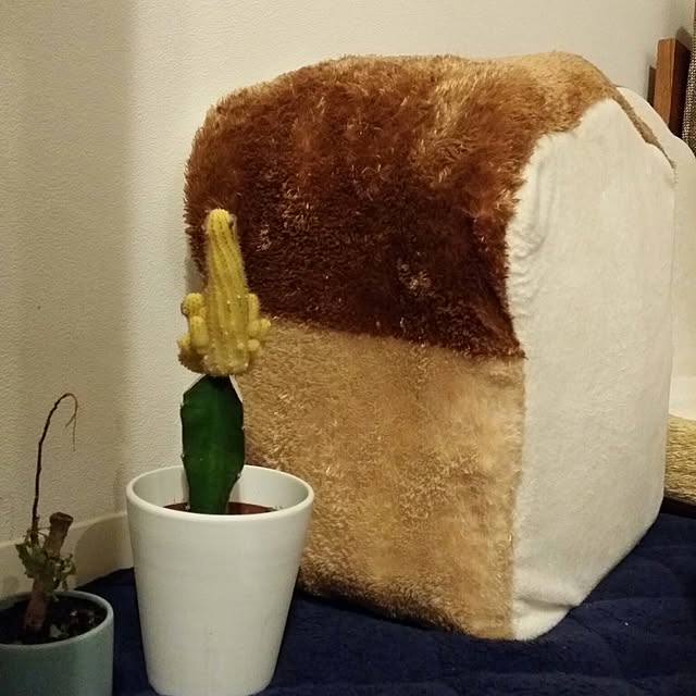 m-kinocoさんの実例写真