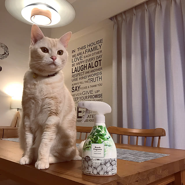hiyupan88さんの実例写真