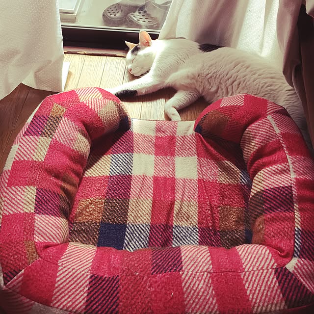 ichi.さんの実例写真