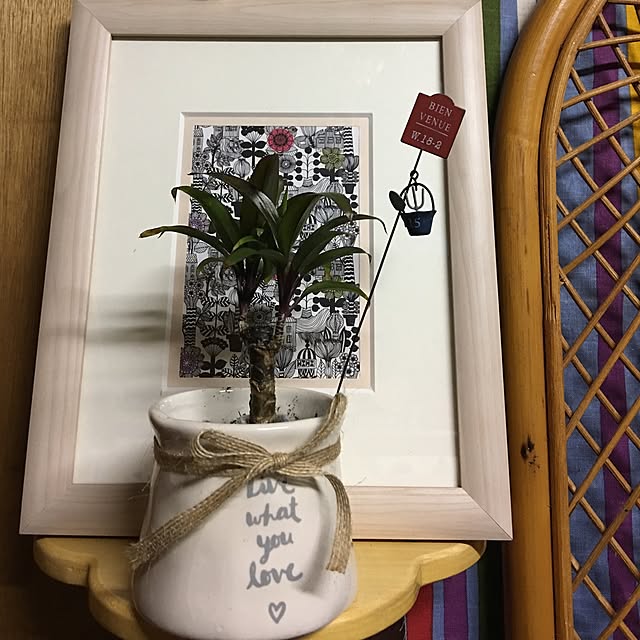 akekuroankoさんの実例写真
