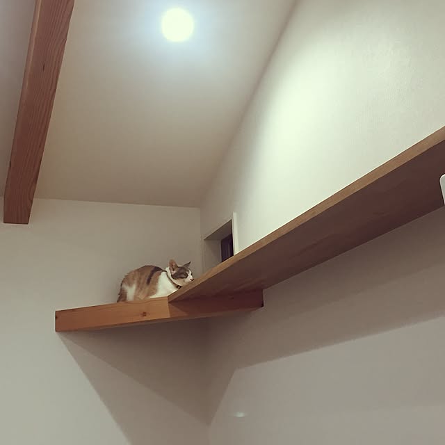 Yoshieさんの実例写真