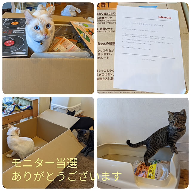 jacky-m-さんの実例写真