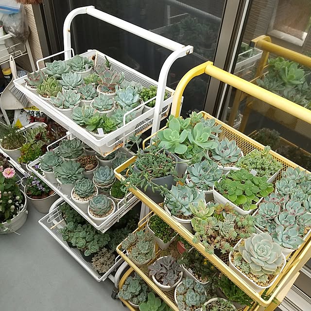 meiさんの部屋