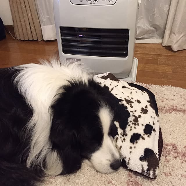 ronさんの実例写真