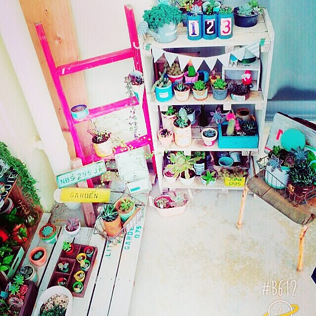 zu_kkyyさんの実例写真