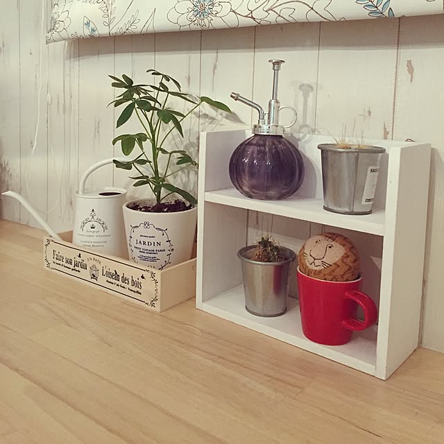 机/100均/IKEA/ナチュラル/観葉植物...などのインテリア実例 - 2016-02-26 22:55:52