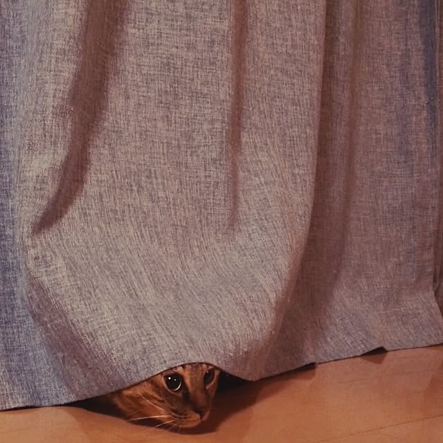 yassyさんの実例写真
