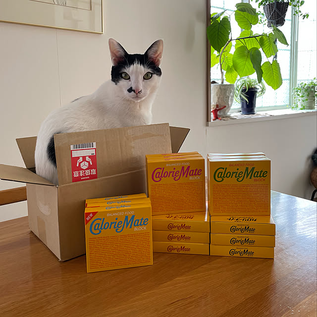 nobikoさんの実例写真