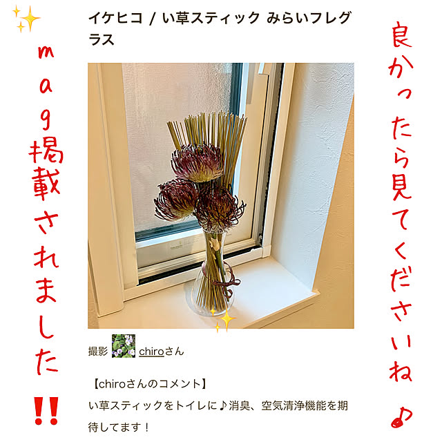 部屋全体/mag掲載/mag掲載記録用のインテリア実例 - 2025-05-07 17:38:21