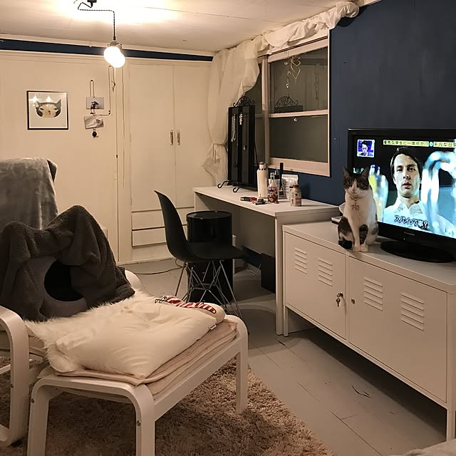 Shihoさんの実例写真