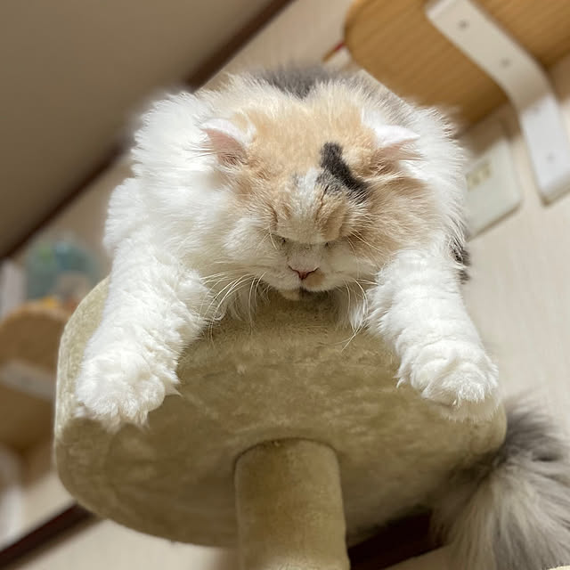keibooさんの実例写真