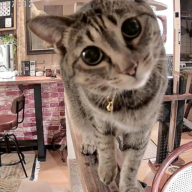 Mさんの実例写真