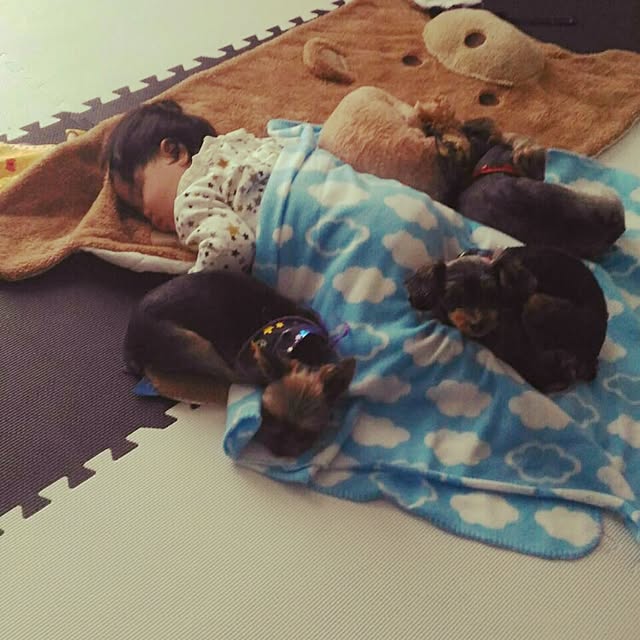 chasoさんの実例写真