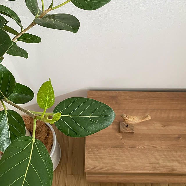 mokomoccoさんの実例写真