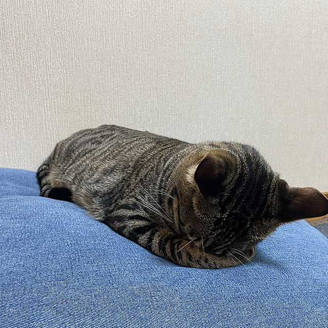 hookerさんの実例写真