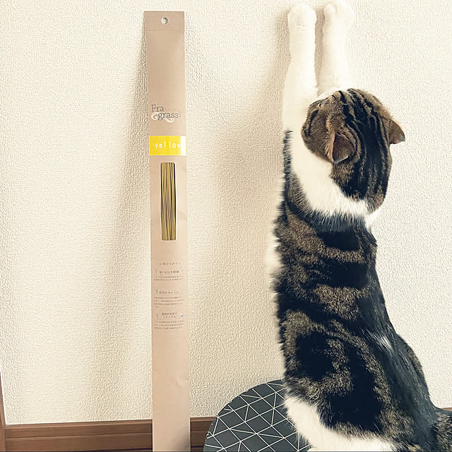 tansukeさんの実例写真
