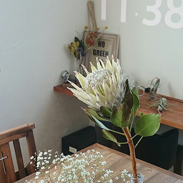 bibi.karuさんの実例写真