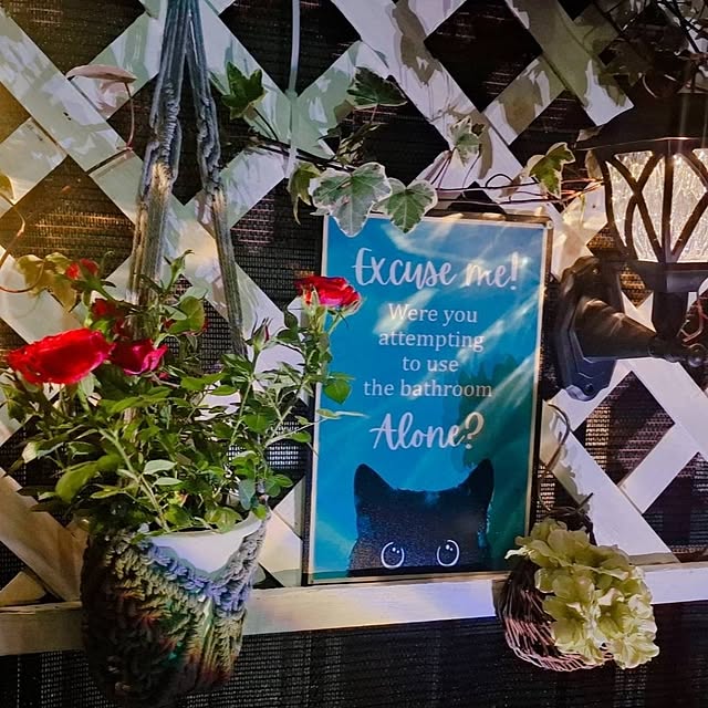 moko.7525himeさんの部屋