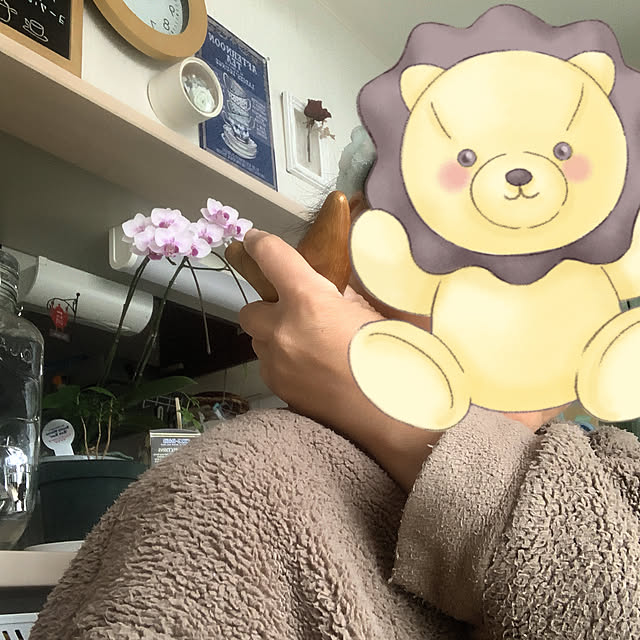 eshinobumさんの部屋