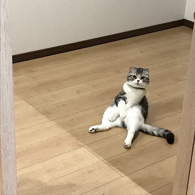 Dahliaさんの実例写真