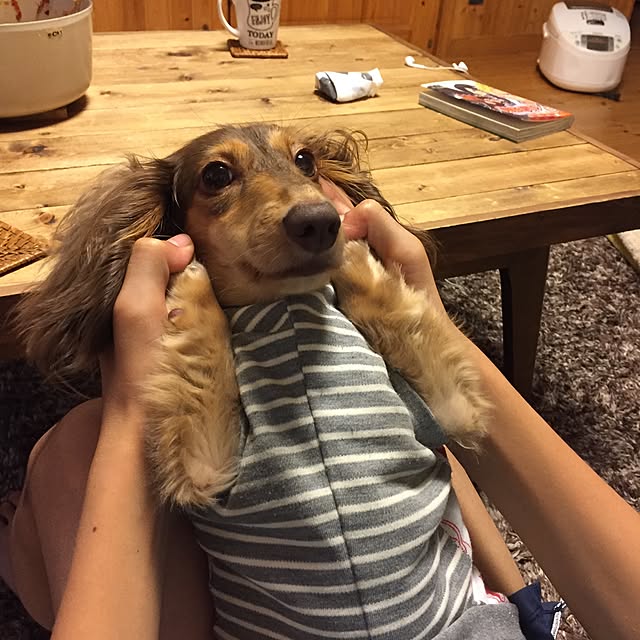 yupponさんの実例写真