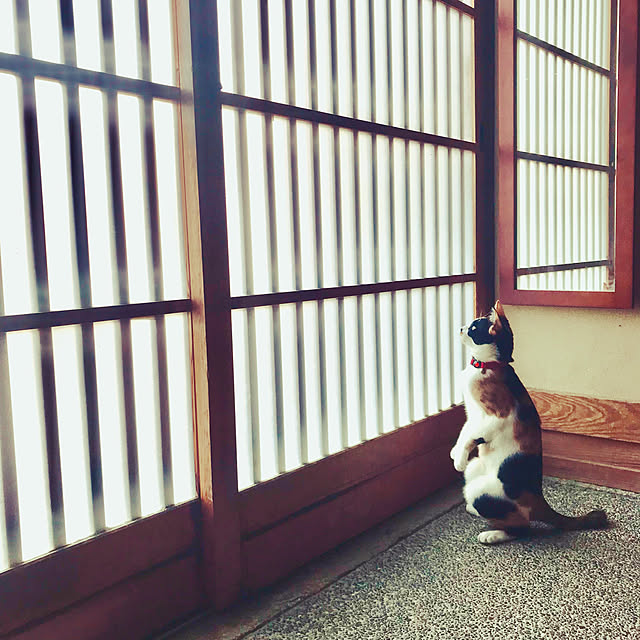 maroさんの実例写真