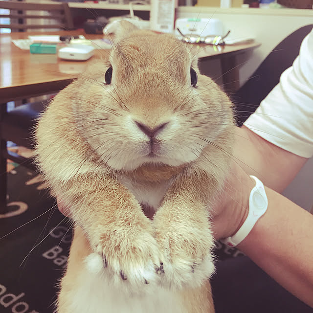 Yasuyukiさんの実例写真