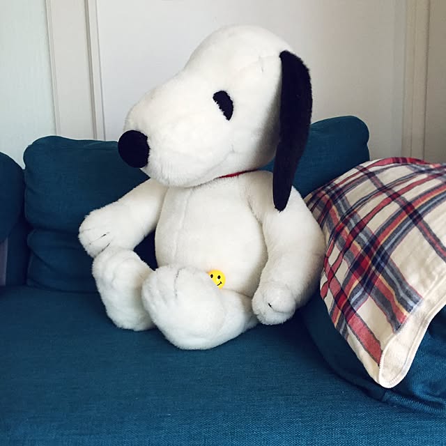 pariさんの実例写真