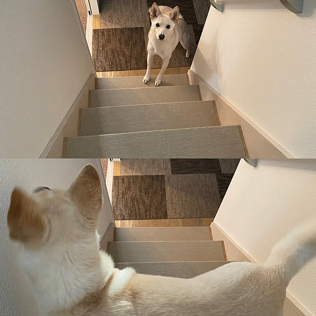 tanboさんの実例写真