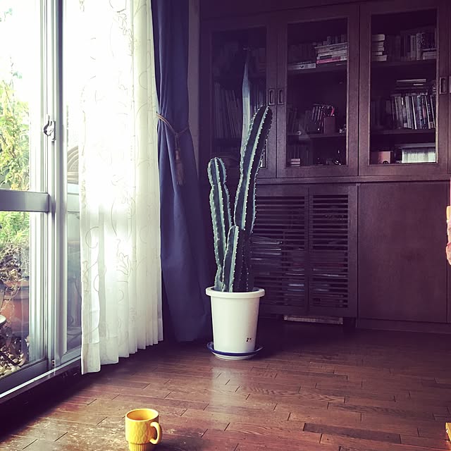 maronさんの実例写真