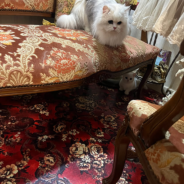 AYUKOさんの部屋