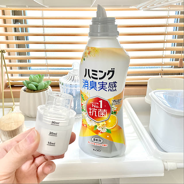 merutoさんの実例写真