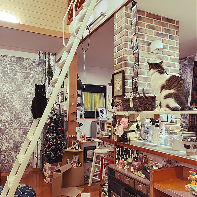 jijiさんの実例写真