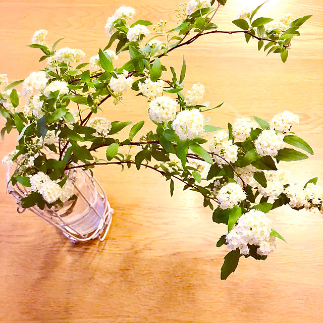 UNI.mamaさんの実例写真