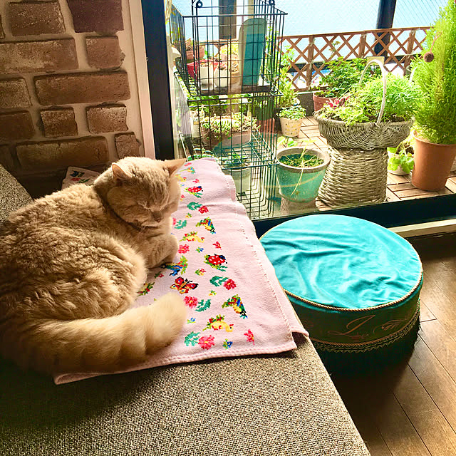 naokoさんの部屋